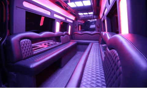 Ventura 14 Passenger Sprinter Bus Interior